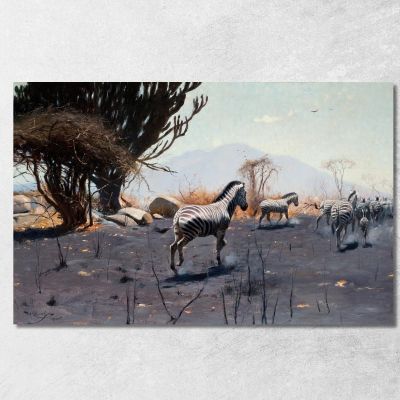 Zebras Wilhelm Kuhnert wkh48 canvas print 