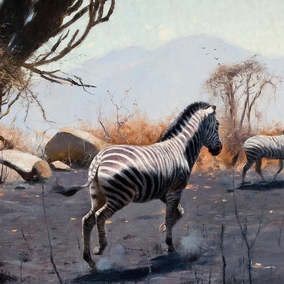 Zebras Wilhelm Kuhnert wkh48 canvas print