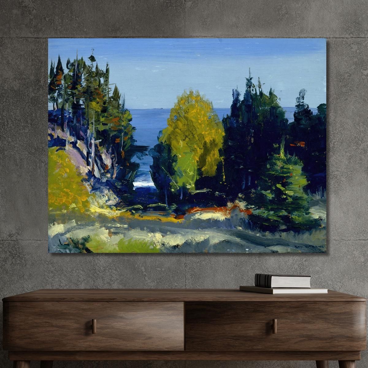 The Grove Monhegan George Wesley Bellows gwb63 canvas print 