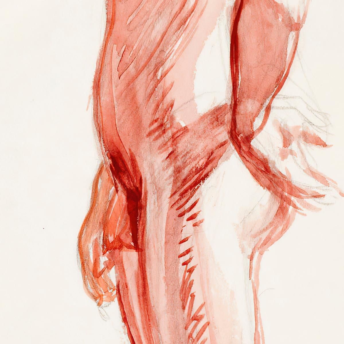 Standing Naked Man Side Sketch Magnus Enckell mek67 canvas print