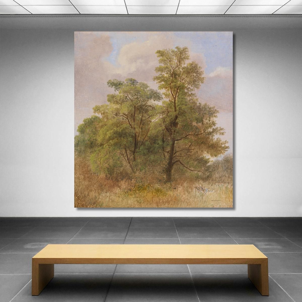 Tree Study Carl Spitzweg csp4 canvas print 