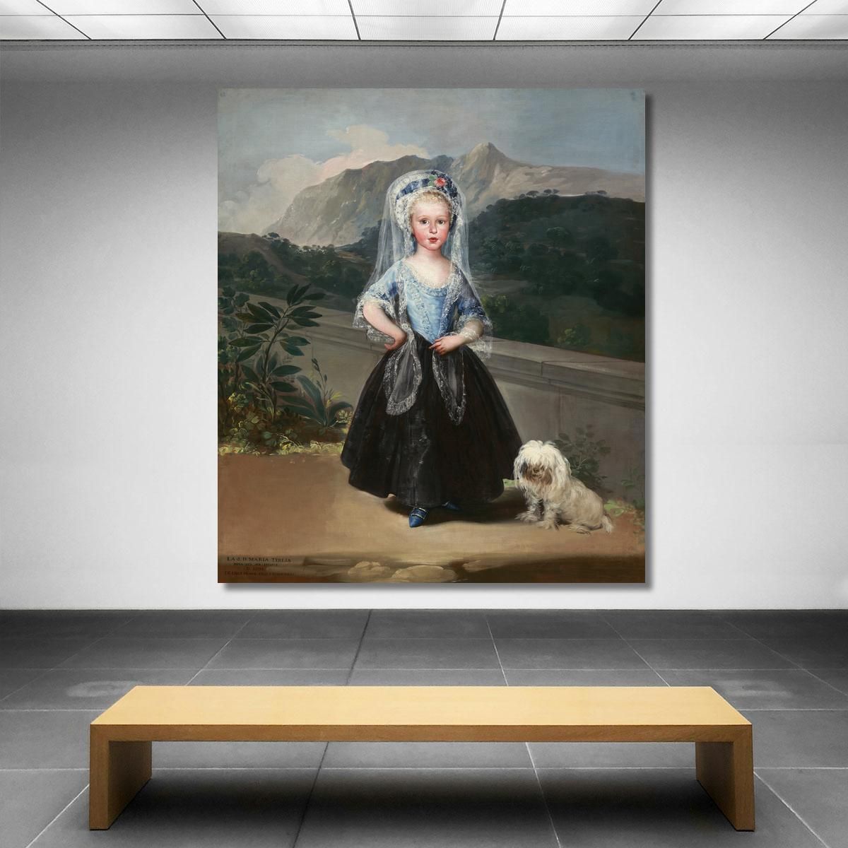 María Teresa De Borbón Y Vallabrigalater Countess Of Chinchón Francisco de Goya fgy36 canvas print 