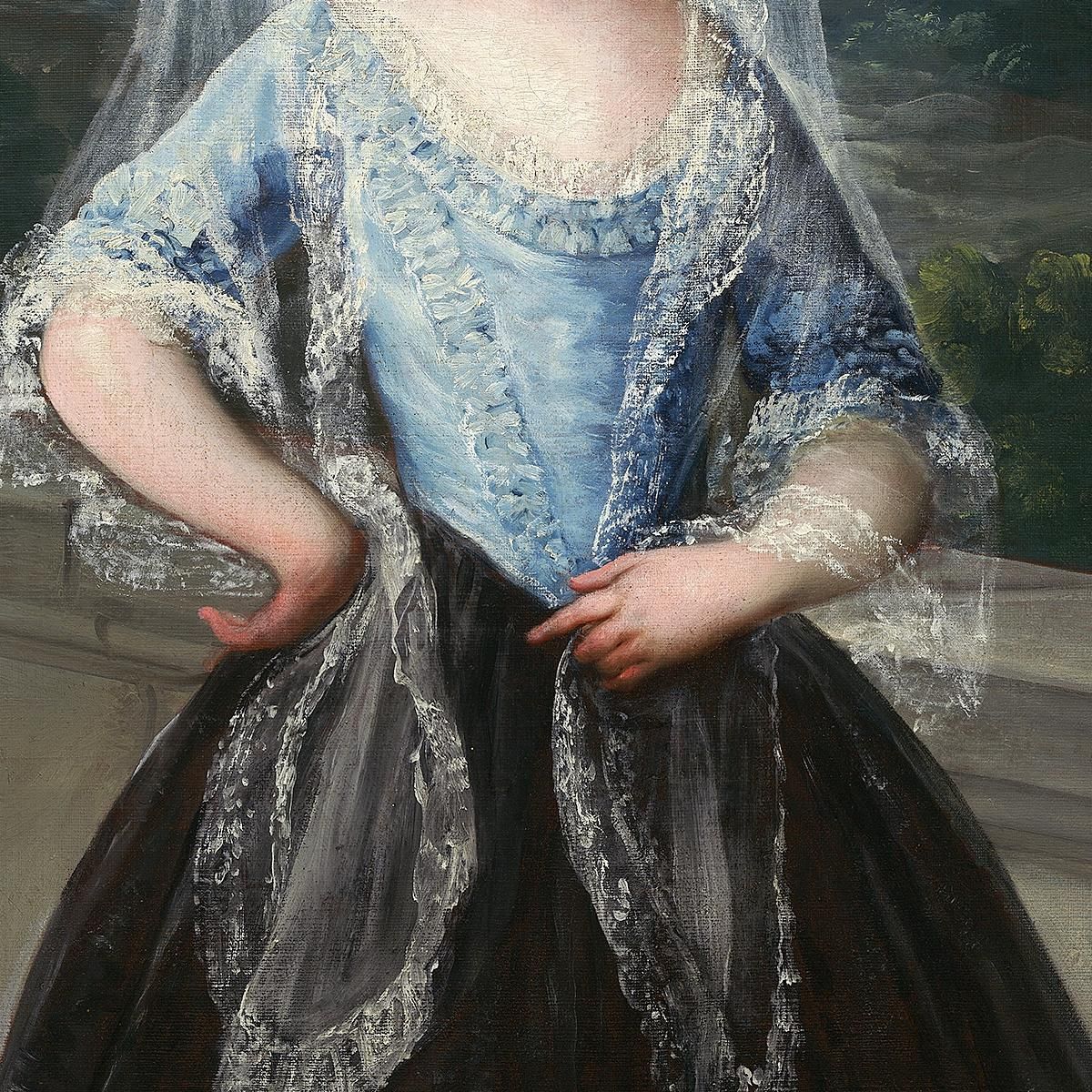 María Teresa De Borbón Y Vallabrigalater Countess Of Chinchón Francisco de Goya fgy36 canvas print