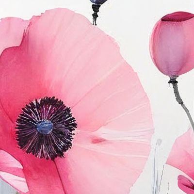 Watercolor Painting Pink Poppies On Gradient Background Modern Abstract Flowers Painting flp3 canvas print