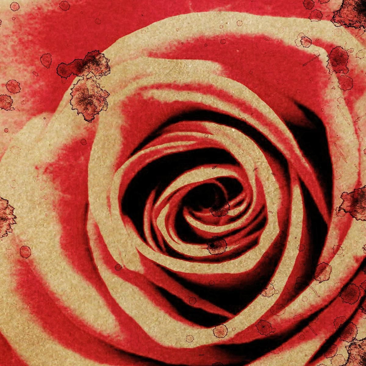 Vintage Red Rose Painting Modern Abstract Flowers Painting flp38 canvas print