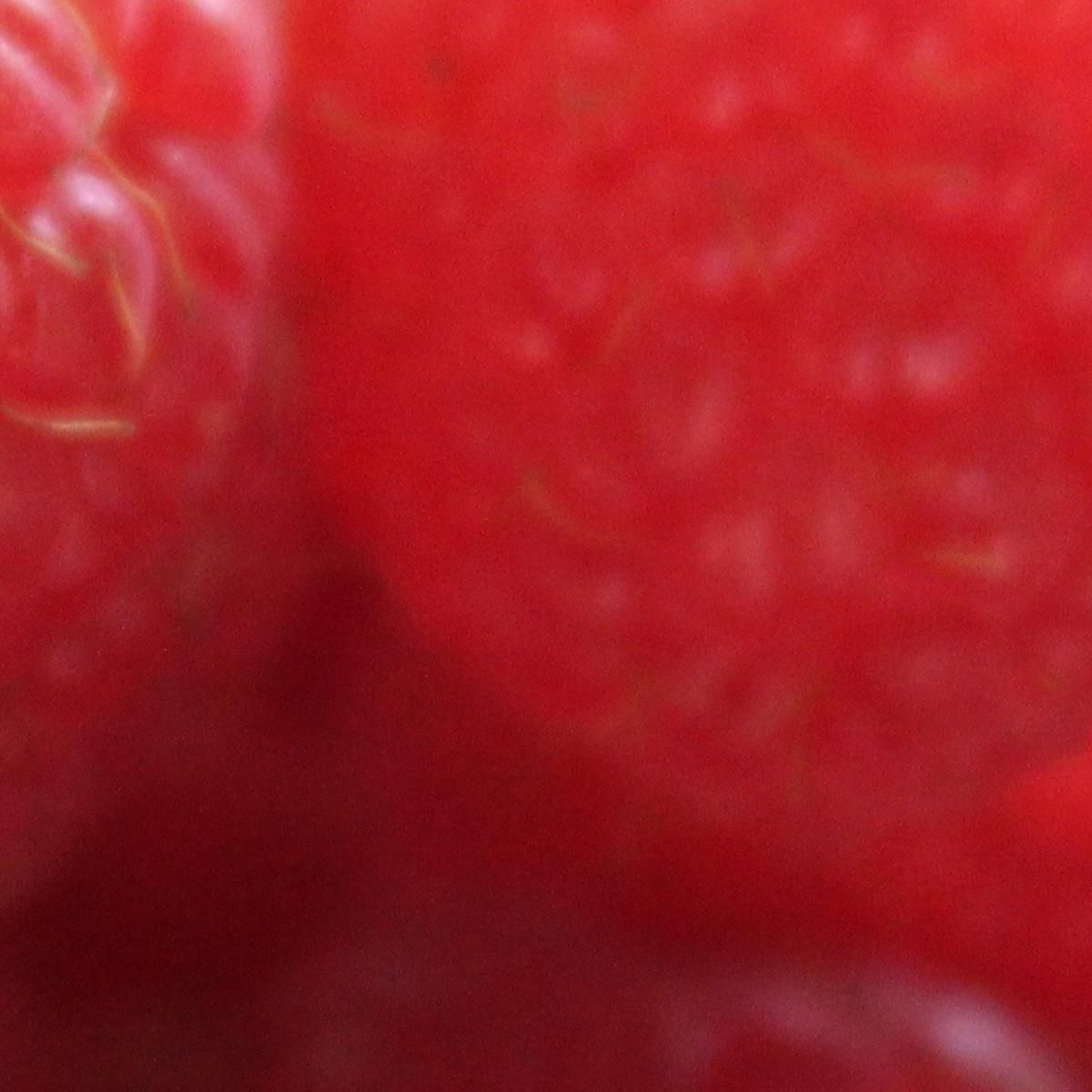 Modern Painting Fresh Raspberries foo75 canvas print