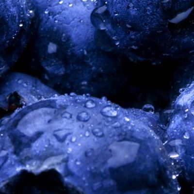 Modern Painting Blueberries With Dew foo80 canvas print