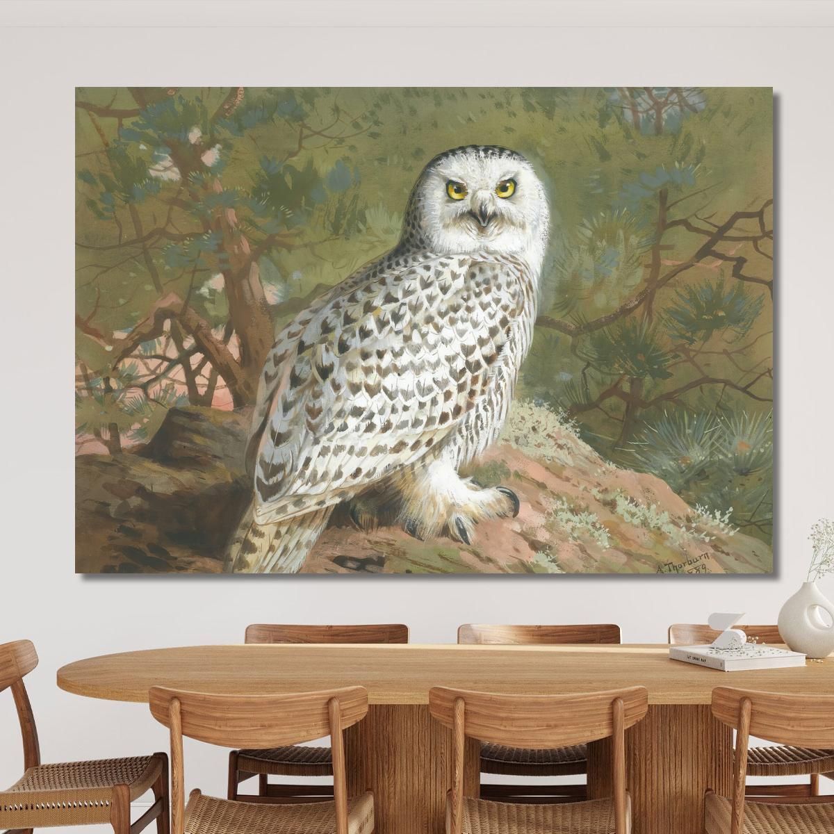 A Female Snowy Owl Archibald Thorburn ath3 canvas print 