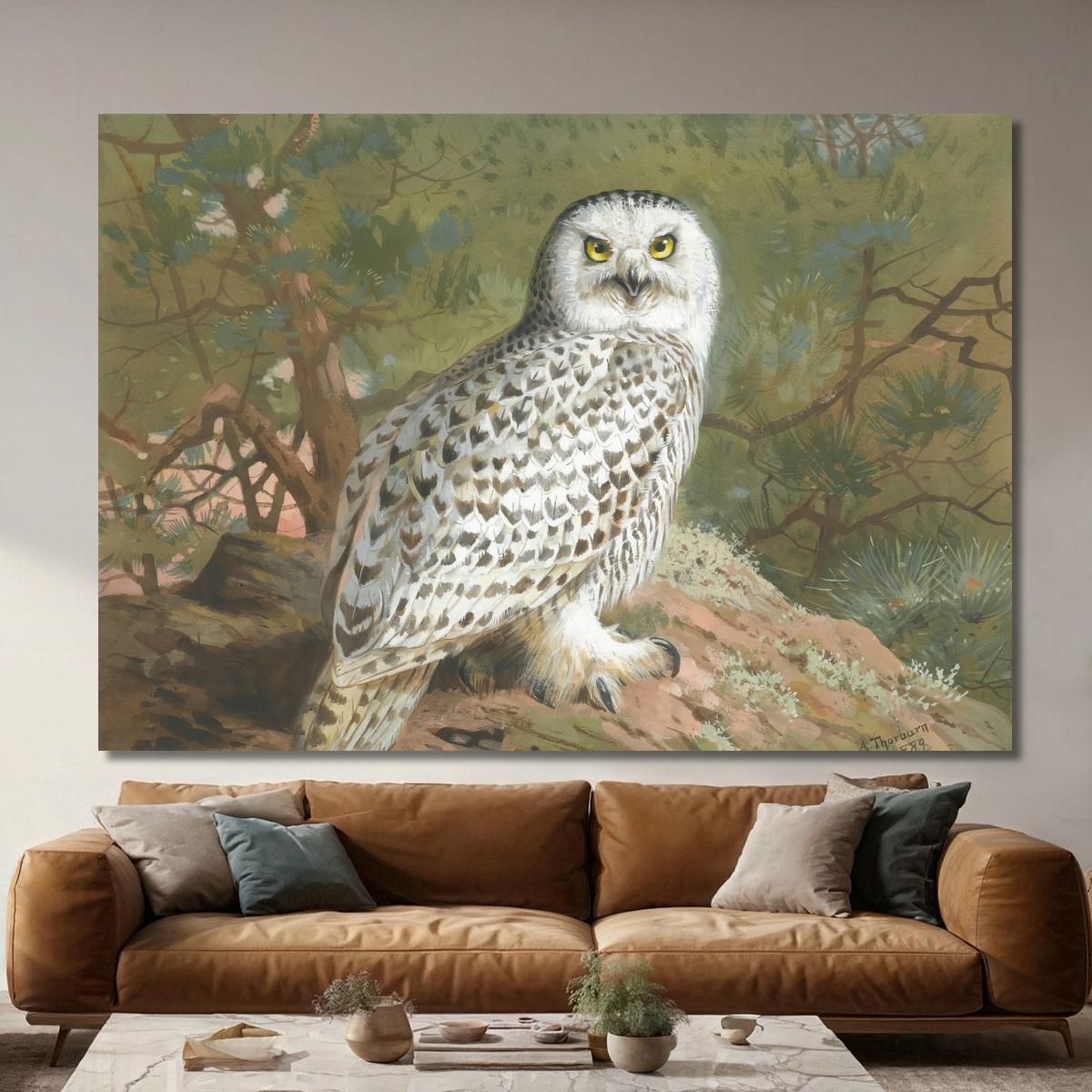 A Female Snowy Owl Archibald Thorburn ath3 canvas print 