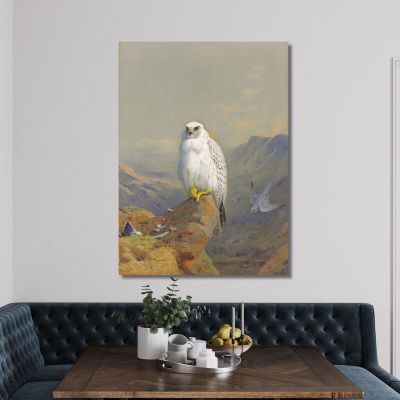 A Greenland Falcon On A Rocky Outcrop Archibald Thorburn ath4 canvas print 