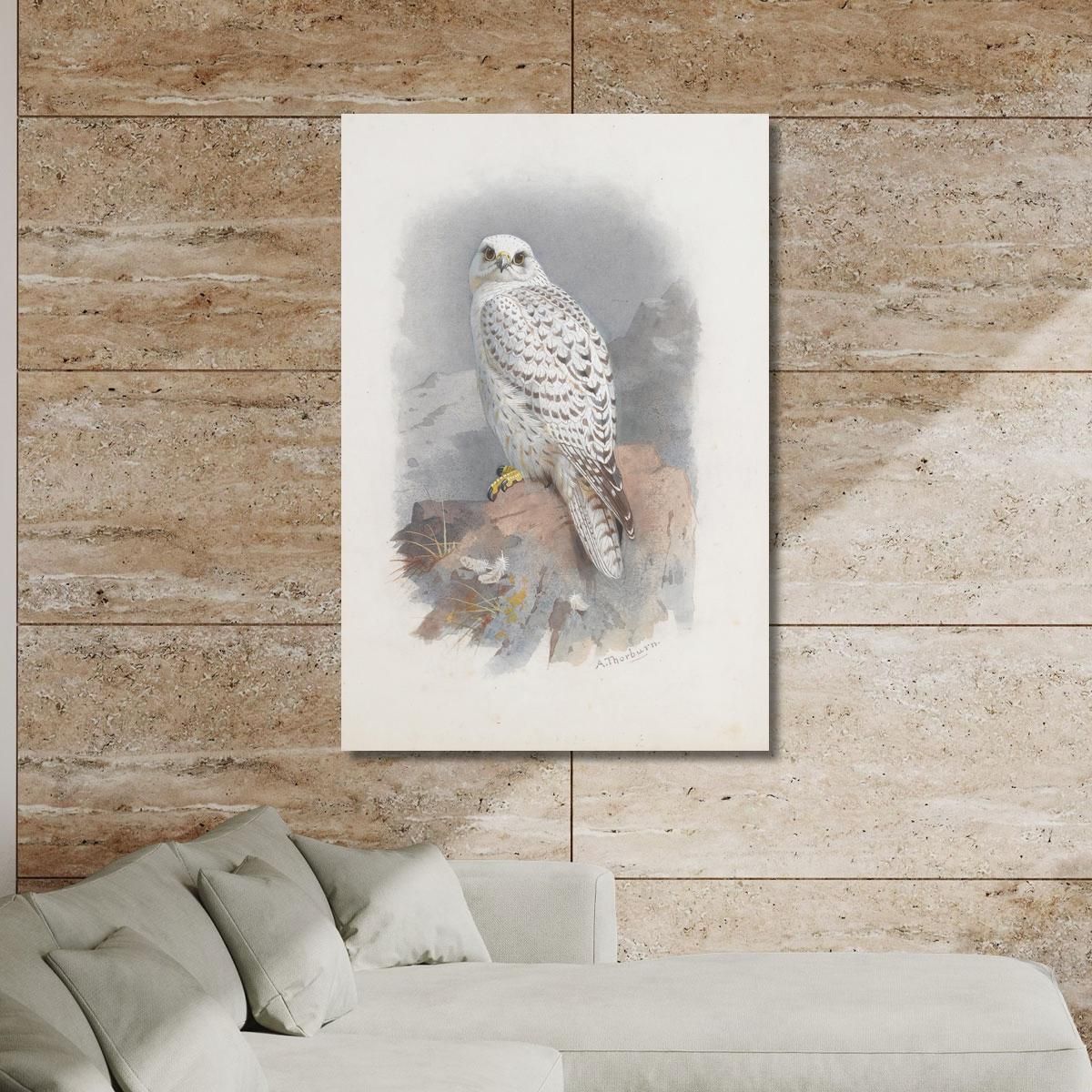 A Greenland Falcon Archibald Thorburn ath5 canvas print 