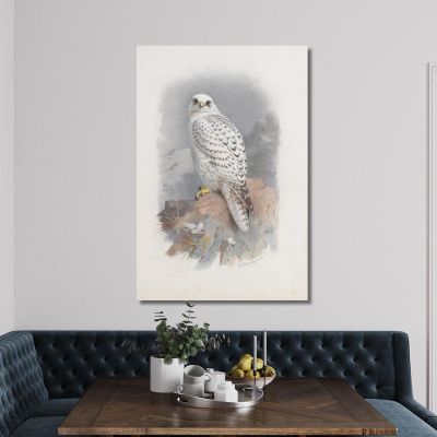 A Greenland Falcon Archibald Thorburn ath5 canvas print 