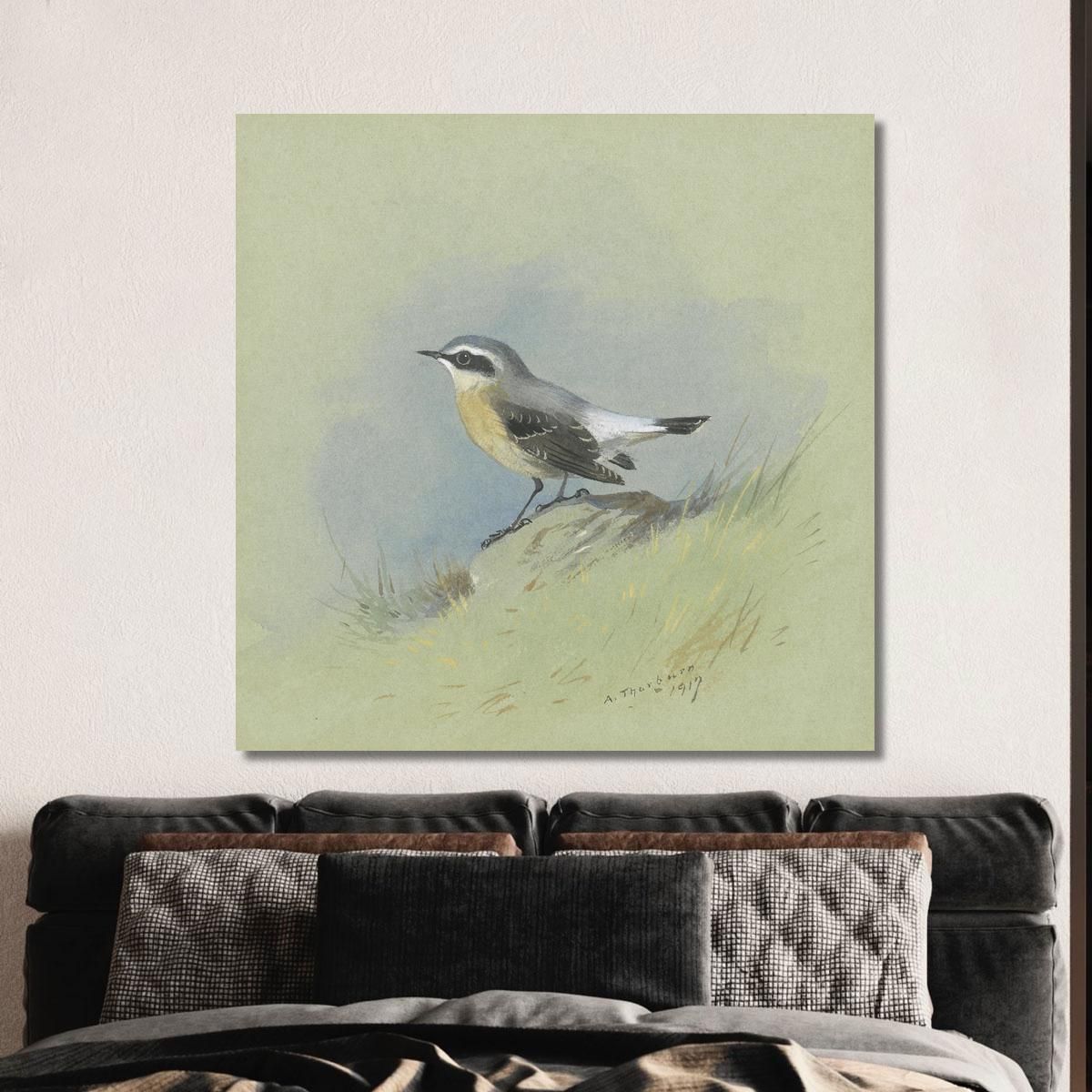 A Male Wheatear Archibald Thorburn ath7 canvas print 