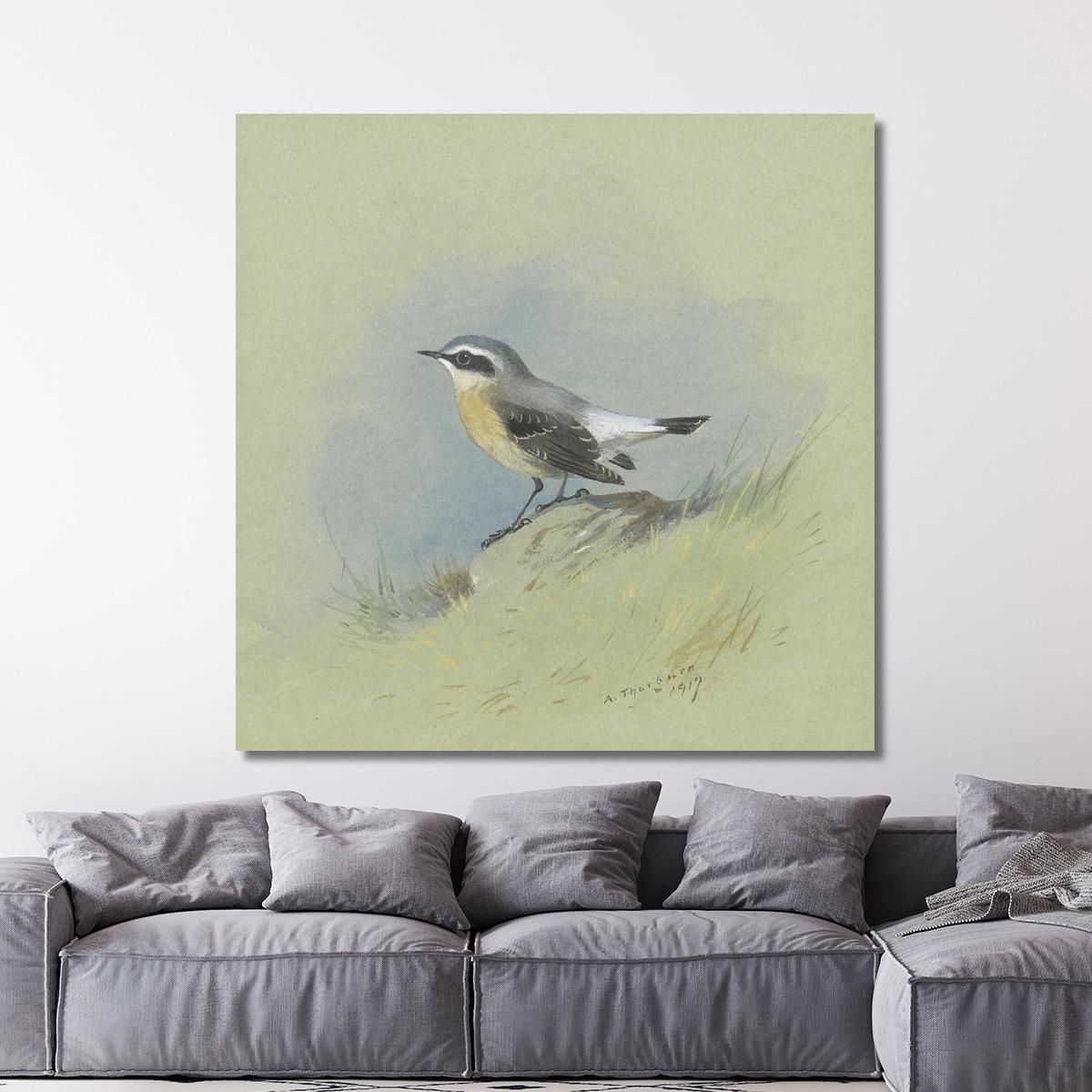 A Male Wheatear Archibald Thorburn ath7 canvas print 