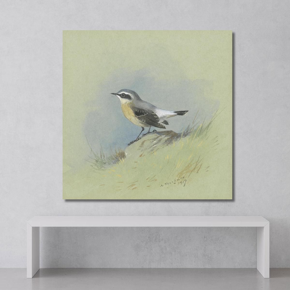 A Male Wheatear Archibald Thorburn ath7 canvas print 