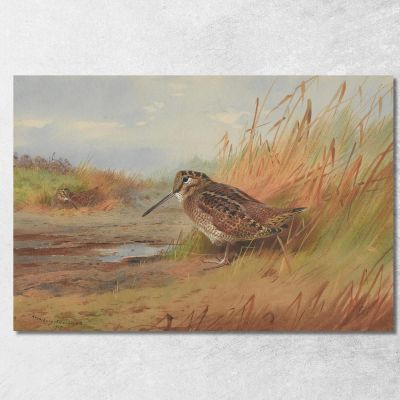 A Woodcock Archibald Thorburn ath15 canvas print 