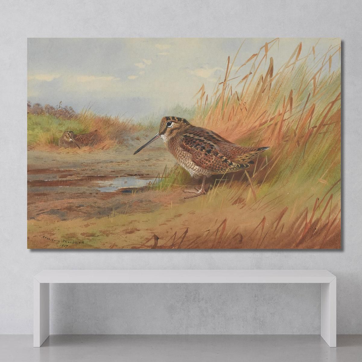 A Woodcock Archibald Thorburn ath15 canvas print 