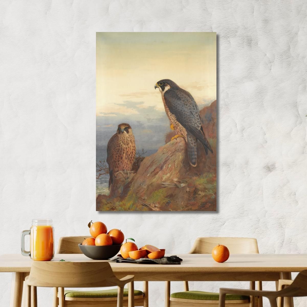 An Adult And Immature Peregrine Archibald Thorburn ath16 canvas print 
