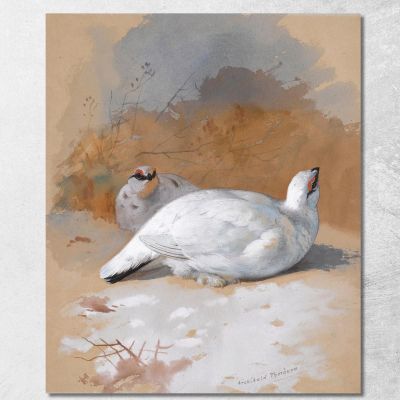 A  Brace Of Ptarmigan In The Snow Archibald Thorburn ath18 canvas print 