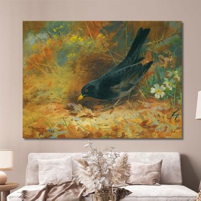 Blackbird Archibald Thorburn ath22 canvas print 