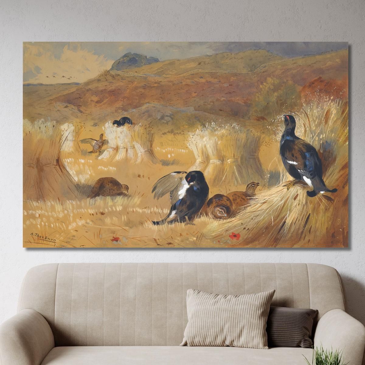 Blackcock In A Field Archibald Thorburn ath25 canvas print 