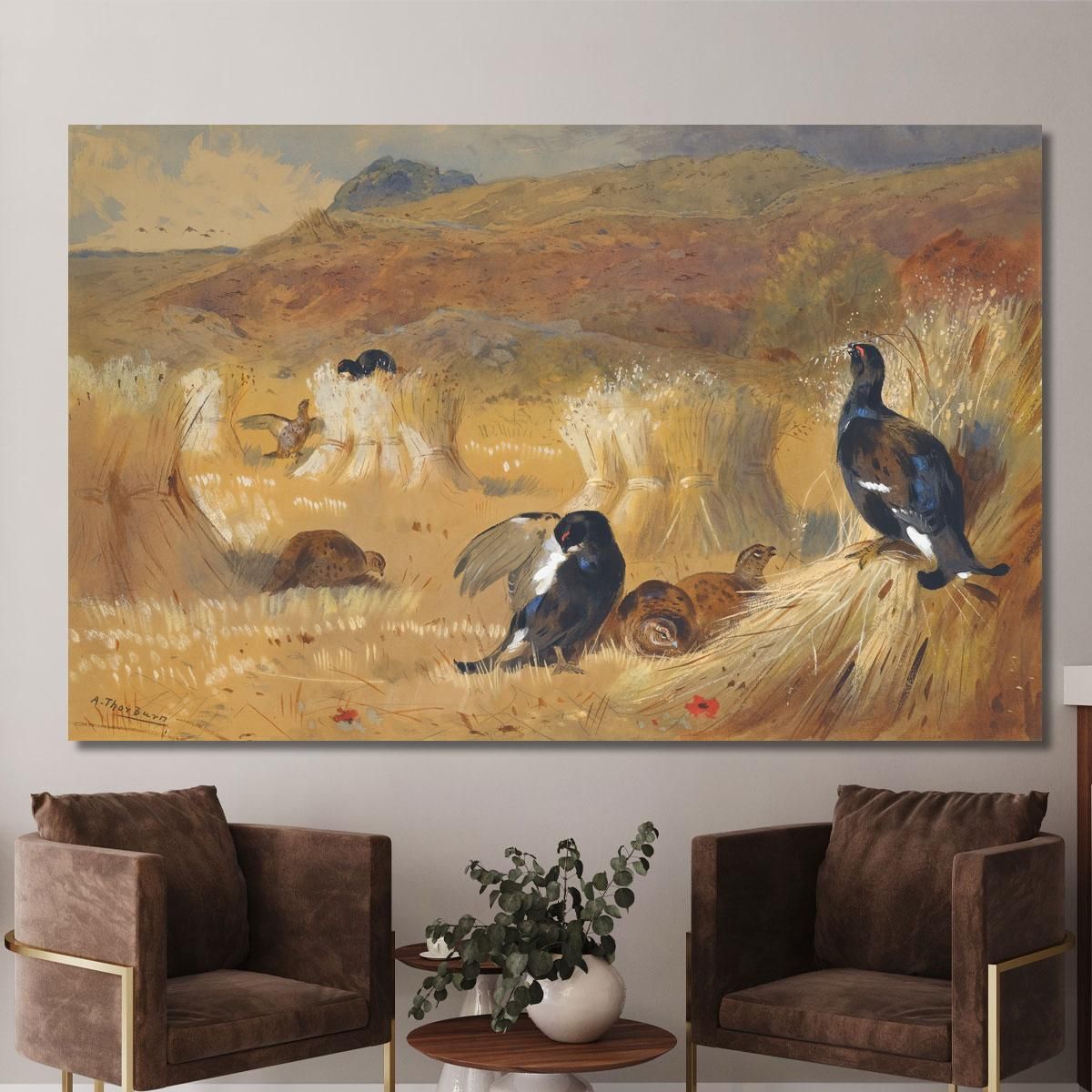 Blackcock In A Field Archibald Thorburn ath25 canvas print 