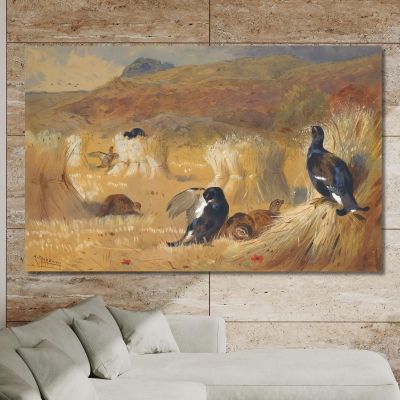 Blackcock In A Field Archibald Thorburn ath25 canvas print 