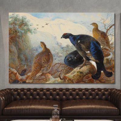 Blackgame Archibald Thorburn ath28 canvas print 