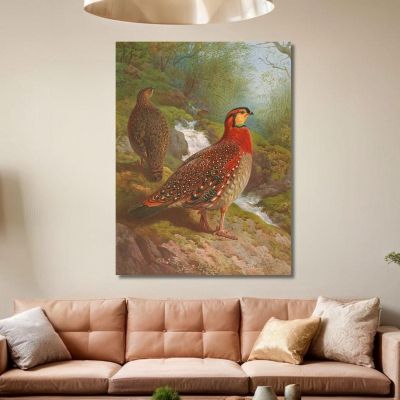 Blyth'S Tragopan Archibald Thorburn ath29 canvas print 