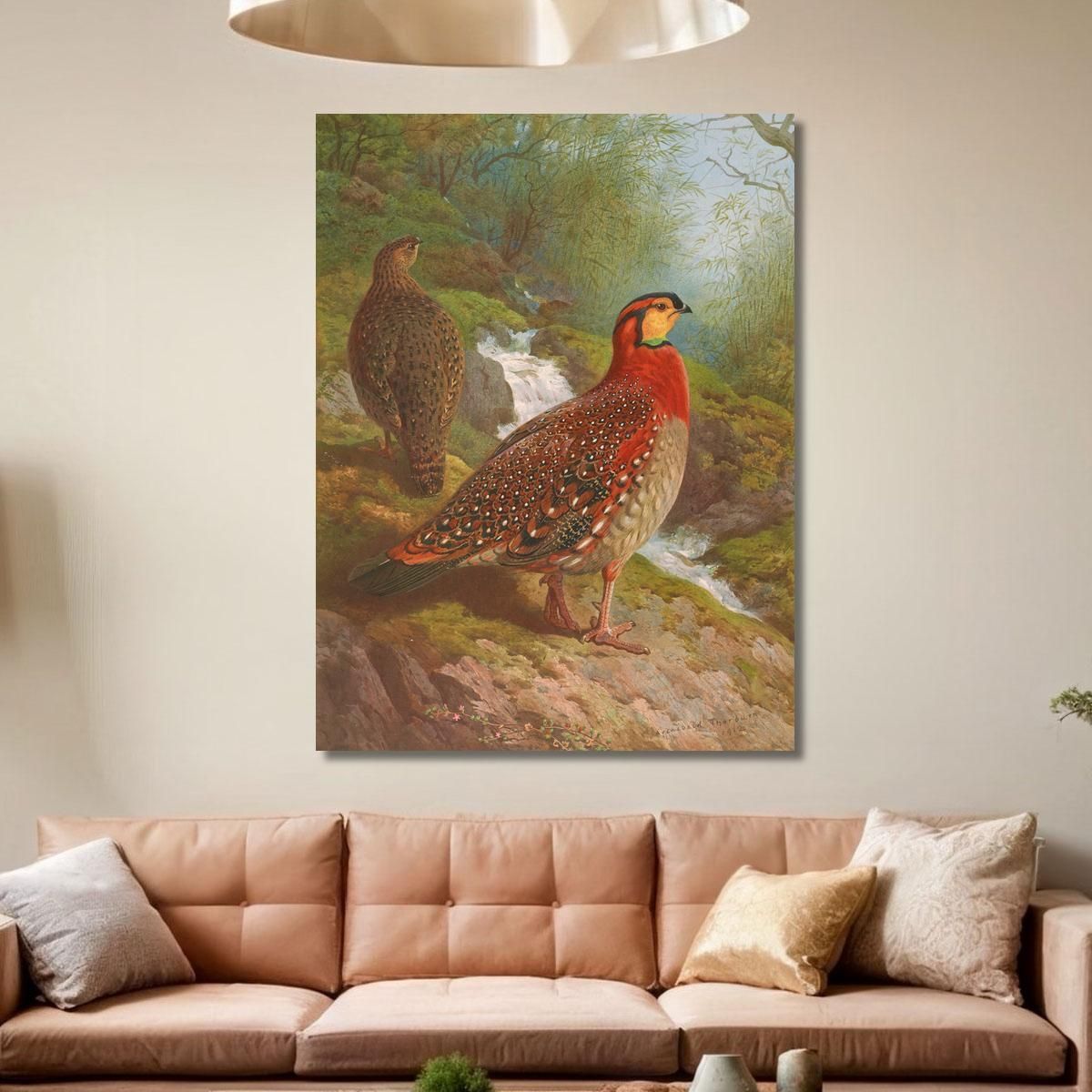 Blyth'S Tragopan Archibald Thorburn ath29 canvas print 