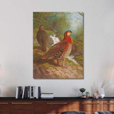 Blyth'S Tragopan Archibald Thorburn ath29 canvas print 