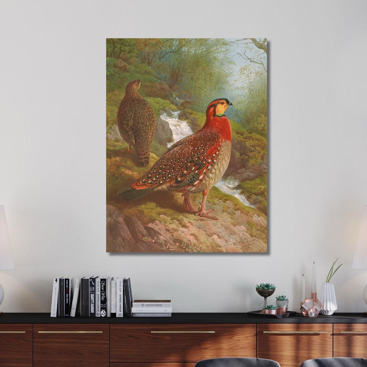 Blyth'S Tragopan Archibald Thorburn ath29 canvas print 