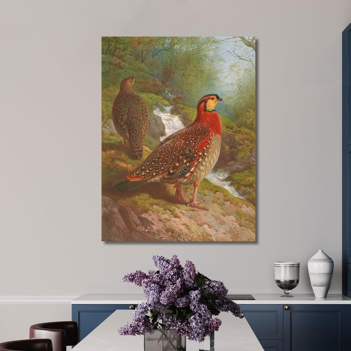 Blyth'S Tragopan Archibald Thorburn ath29 canvas print 