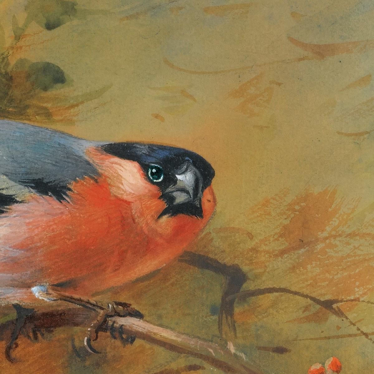 Bullfinches And Pyrus Japonica Archibald Thorburn ath31 canvas print
