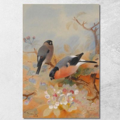 Bullfinches Archibald Thorburn ath32 canvas print 