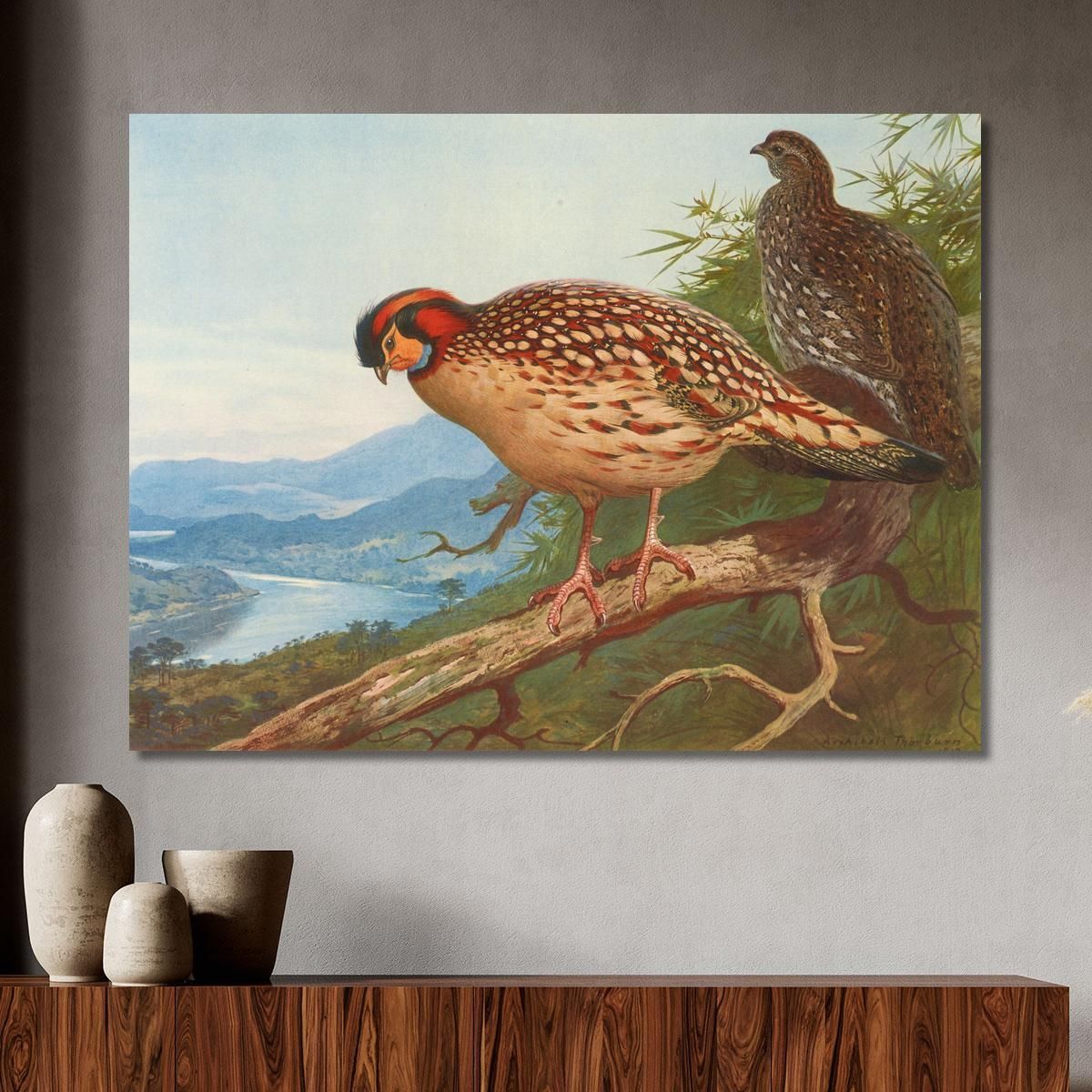 Cabot'S Tragopan Archibald Thorburn ath33 canvas print 