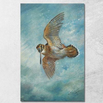 Caught In A Blizzard Woodcock Archibald Thorburn ath35 canvas print 