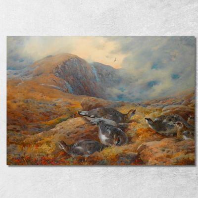 Danger Aloft Ptarmigan Archibald Thorburn ath40 canvas print 