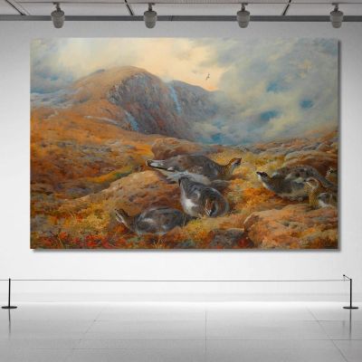 Danger Aloft Ptarmigan Archibald Thorburn ath40 canvas print 