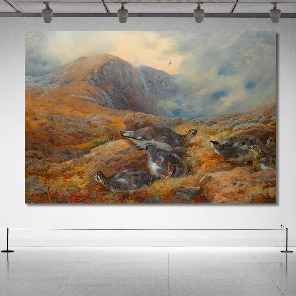Danger Aloft Ptarmigan Archibald Thorburn ath40 canvas print 