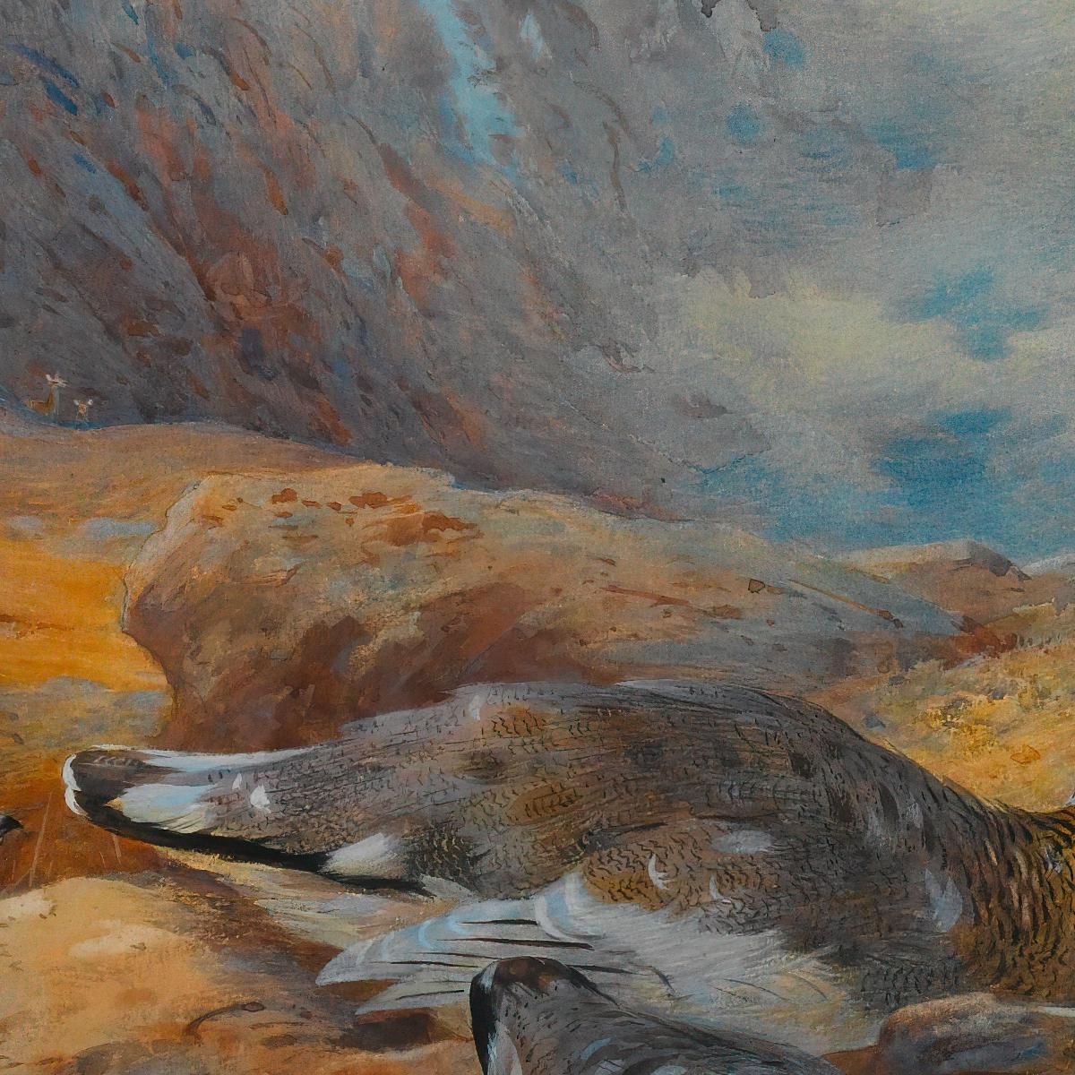 Danger Aloft Ptarmigan Archibald Thorburn ath40 canvas print