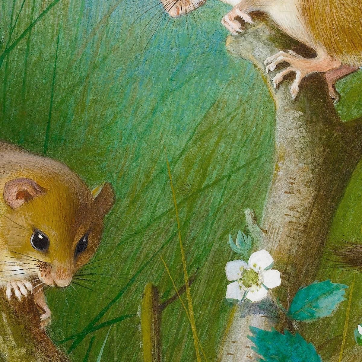 Dormice Archibald Thorburn ath41 canvas print