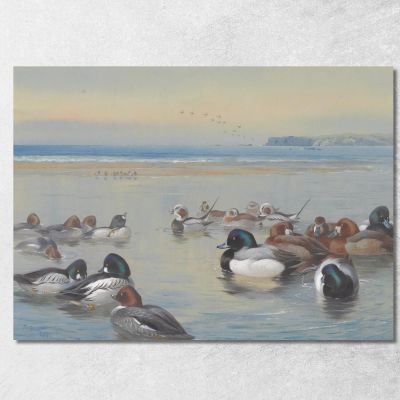 Ducks Along The Shoreline Archibald Thorburn ath43 canvas print 