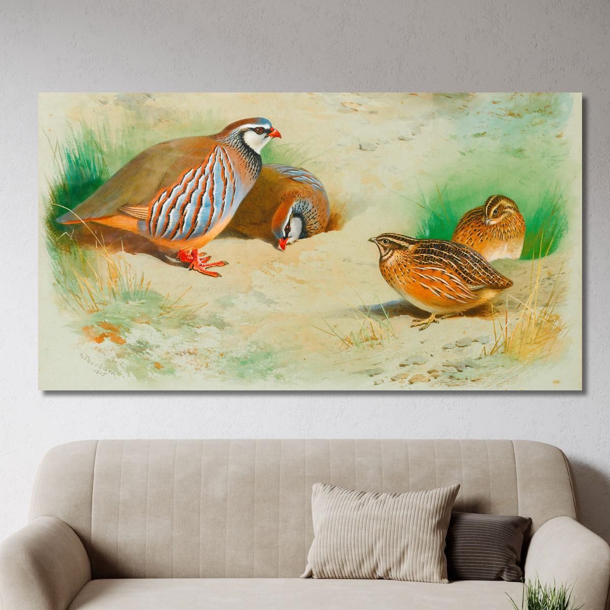 French Partridge And Chicks Archibald Thorburn ath47 canvas print 