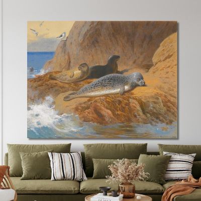 Grey And Harbour Seals At Rest Archibald Thorburn ath51 canvas print 