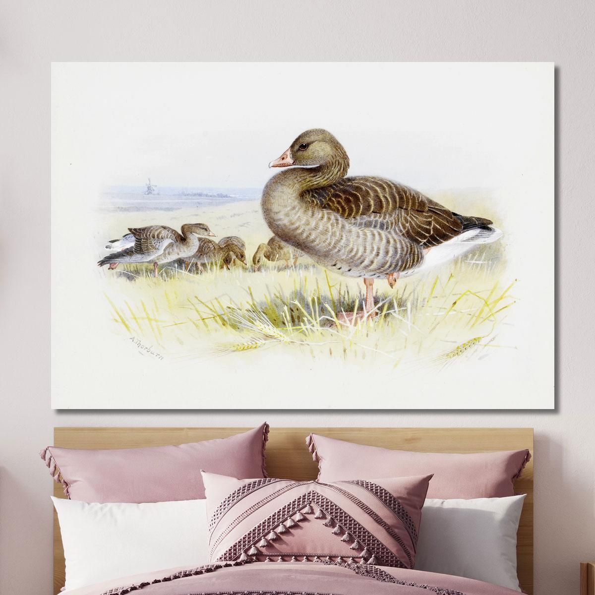 Greylag Goose Archibald Thorburn ath53 canvas print 