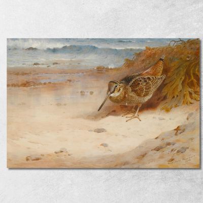Hungry And Homeless Archibald Thorburn ath56 canvas print 