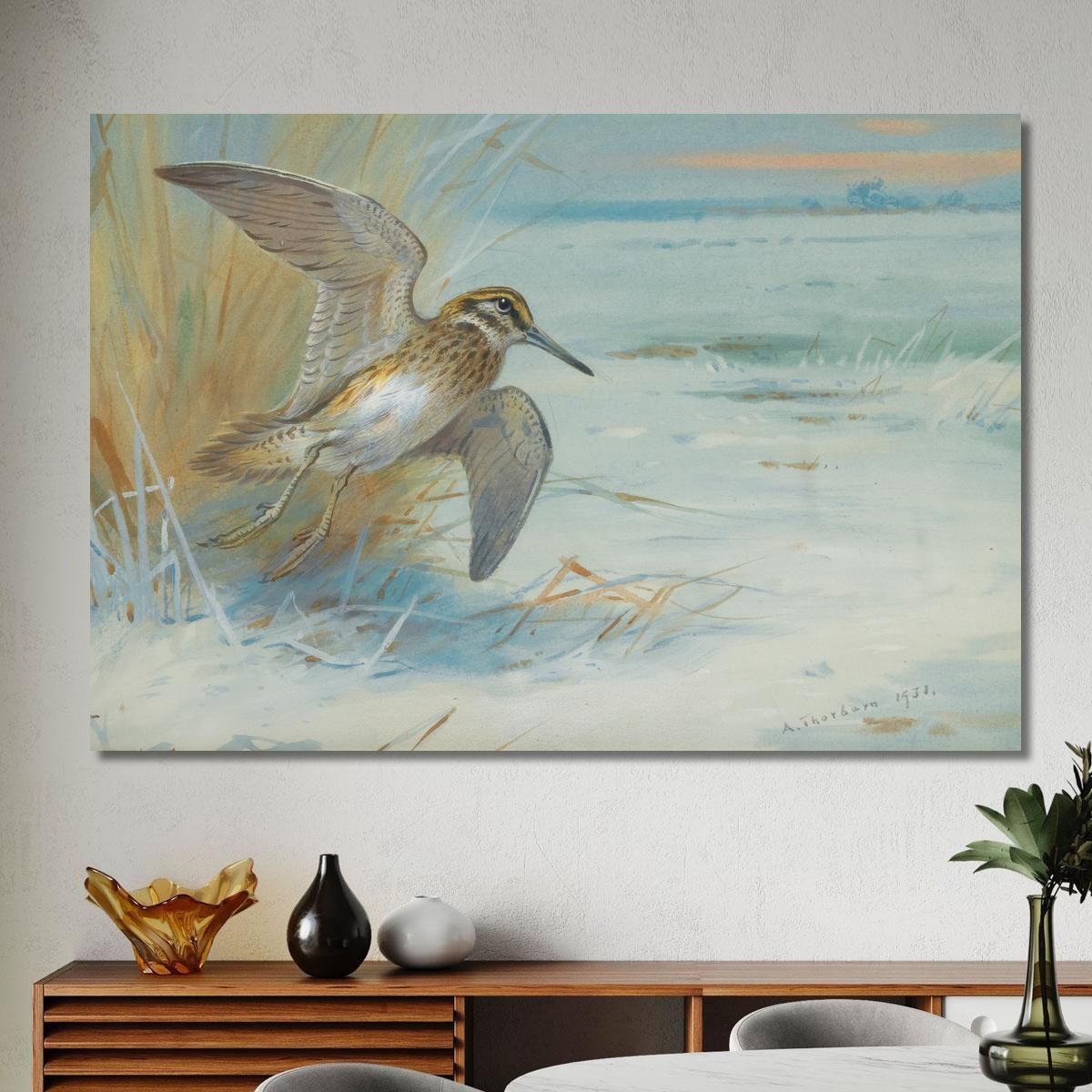 Jack Snipe Rising Archibald Thorburn ath58 canvas print 