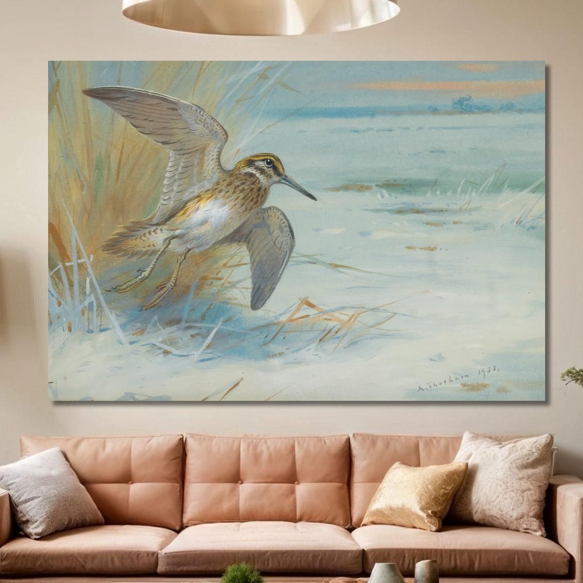 Jack Snipe Rising Archibald Thorburn ath58 canvas print 