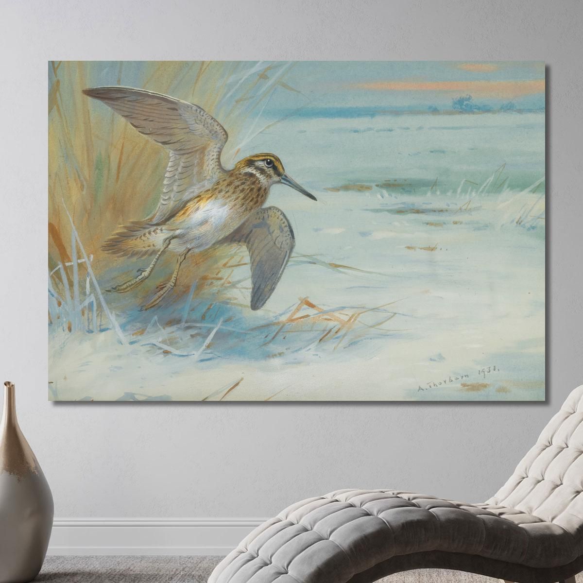 Jack Snipe Rising Archibald Thorburn ath58 canvas print 